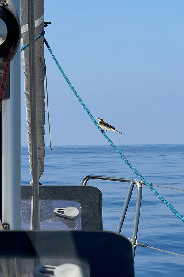 Yacht Charters: A Day in the Life of Sunny Cyprus Yacht Charters: A Day in the Life of Sunny Cyprus